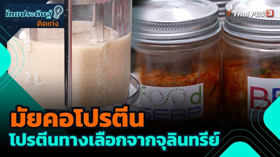 มัยคอโปรตีน โปรตีนทางเลือกจากจุลินทรีย์