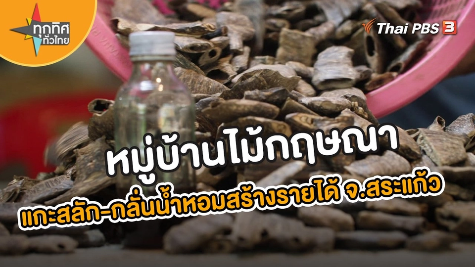 อาชีพทั่วไทย : หมู่บ้านไม้กฤษณา แกะสลัก-กลั่นน้ำหอมสร้างรายได้ จ.สระแก้ว
