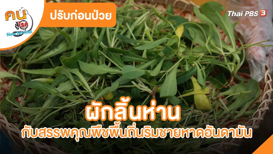 ปรับก่อนป่วย : ผักลิ้นห่าน กับสรรพคุณพืชพื้นถิ่นริมชายหาดอันดามัน