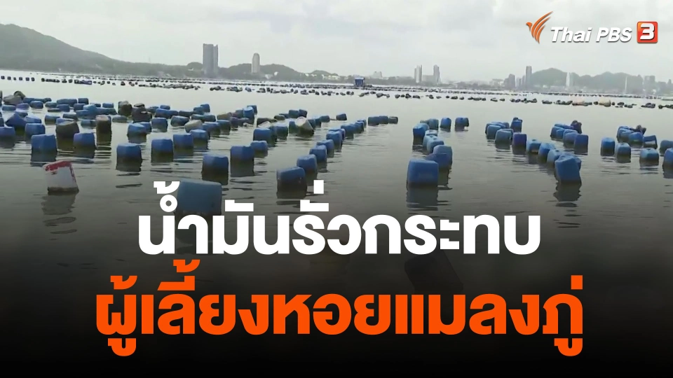 น้ำมันรั่วกระทบผู้เลี้ยงหอยแมลงภู่ จ.ชลบุรี