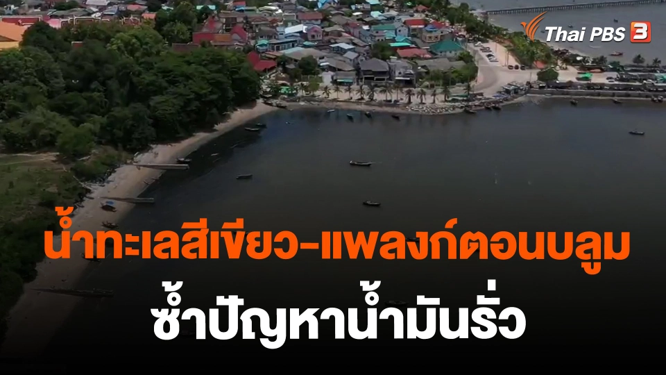 ​น้ำทะเลสีเขียว-แพลงก์ตอนบลูม ซ้ำปัญหาน้ำมันรั่ว