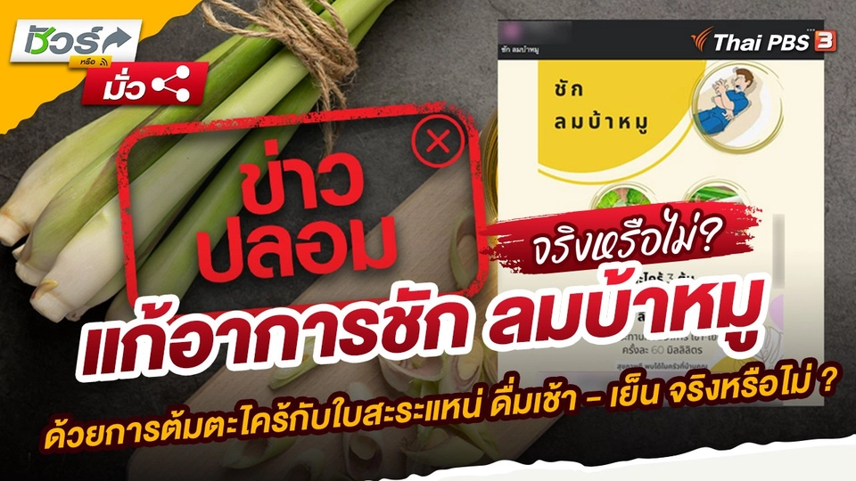 แก้อาการชัก ลมบ้าหมูด้วยการต้มตะไคร้กับใบสะระแหน่ ดื่มเช้า - เย็น จริงหรือไม่ ?