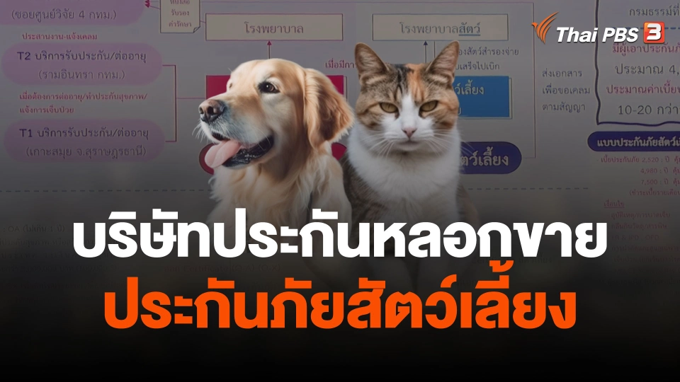 แจง​ บ.ประกันลักลอบขายประกันภัยสัตว์เลี้ยงเถื่อน