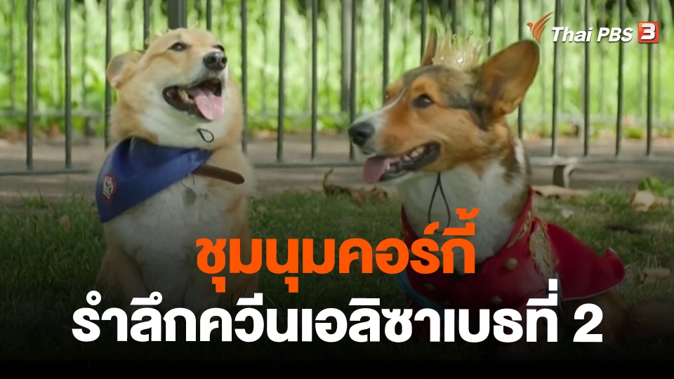 ชุมนุมคอร์กี้รำลึกควีนเอลิซาเบธที่ 2