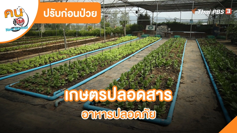​ปรับก่อนป่วย : เกษตรปลอดสารอาหารปลอดภัย