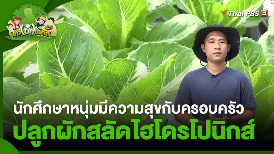 พอดีพอเพียง : นักศึกษาหนุ่มมีความสุขกับครอบครัว ปลูกผักสลัดไฮโดรโปนิกส์