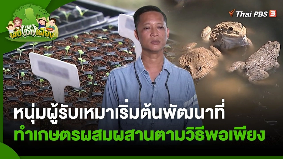 พอดีพอเพียง : หนุ่มผู้รับเหมาเริ่มต้นพัฒนาที่ทำเกษตรผสมผสานตามวิธีพอเพียง