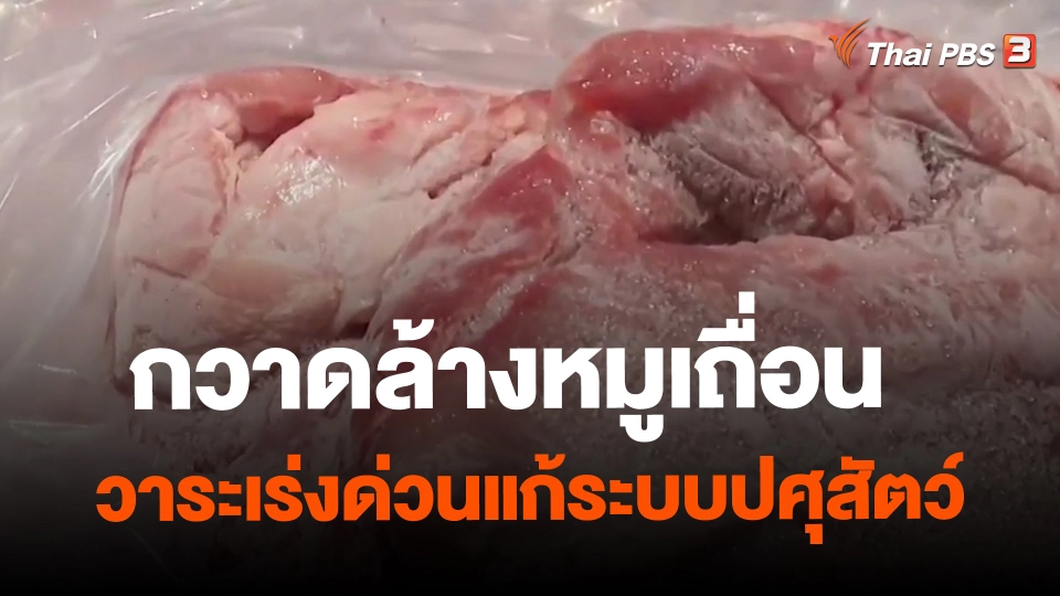 ​จับสัญญาณเศรษฐกิจ : กวาดล้างหมูเถื่อน วาระเร่งด่วนแก้ระบบปศุสัตว์