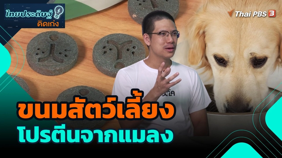 ไทยประดิษฐ์คิดเก่ง : ขนมสัตว์เลี้ยง โปรตีนจากแมลง