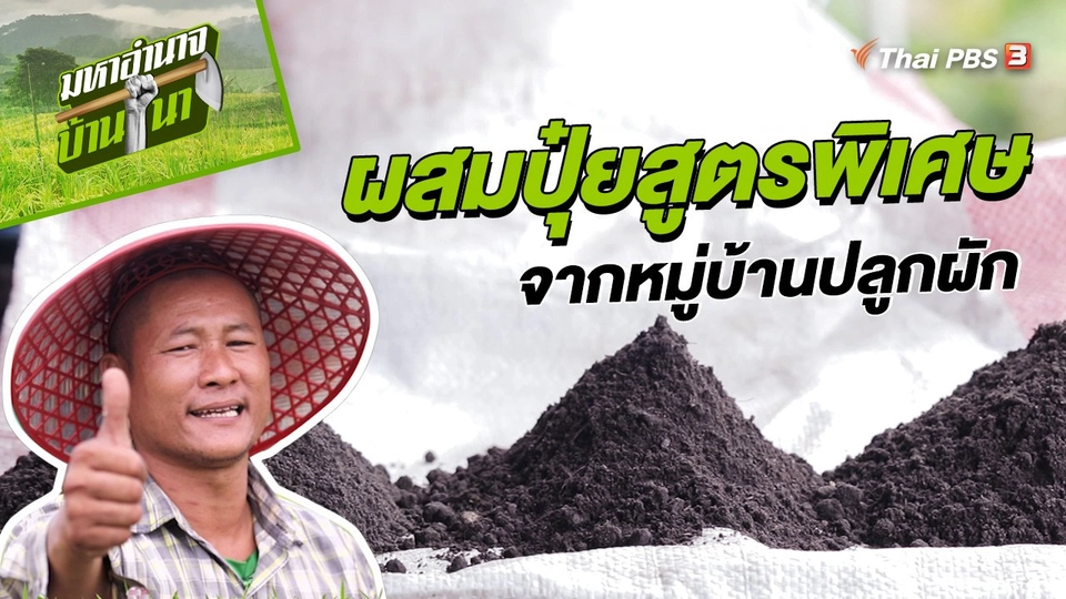 สูตรลับฉบับบ้านนา : ผสมปุ๋ยสูตรพิเศษจากหมู่บ้านปลูกผัก