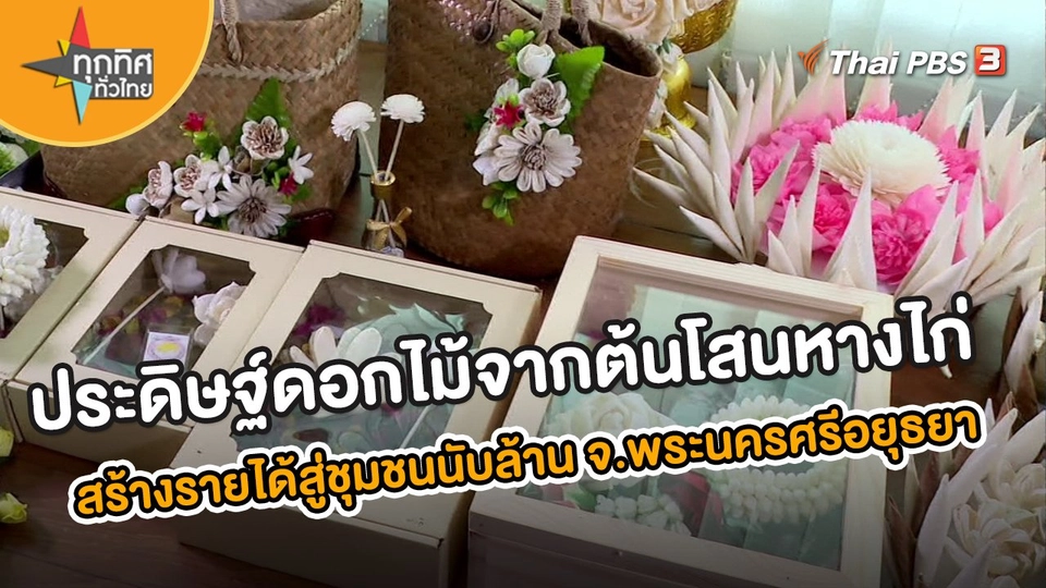 อาชีพทั่วไทย : ประดิษฐ์ดอกไม้จากต้นโสนหางไก่ สร้างรายได้สู่ชุมชนนับล้าน จ.พระนครศรีอยุธยา