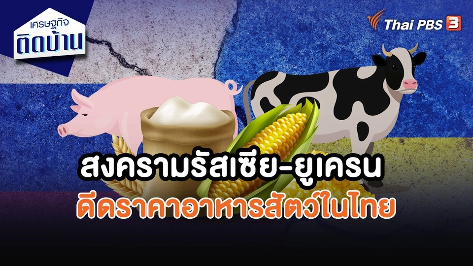 ​เศรษฐกิจน่ารู้ : สงครามรัสเซีย-ยูเครน ดีดราคาอาหารสัตว์ในไทย