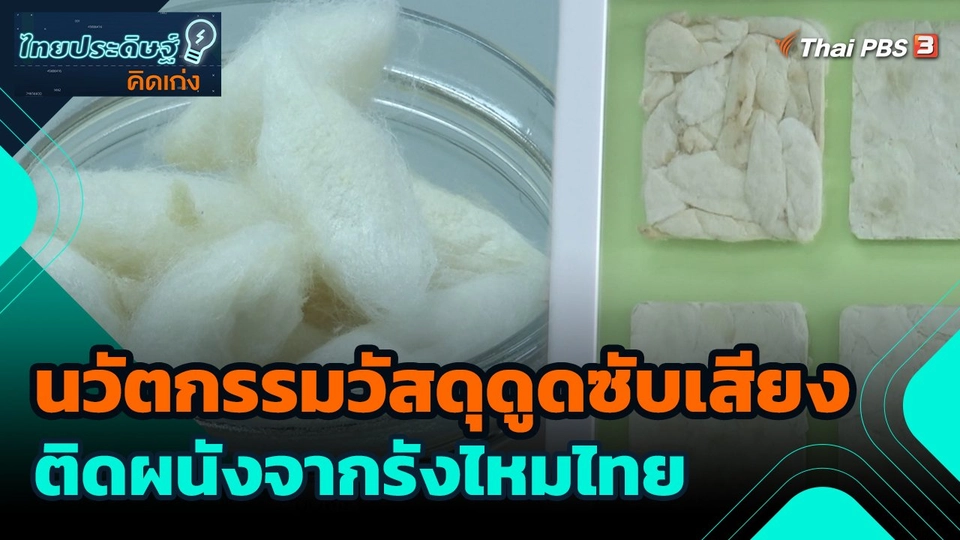 นวัตกรรมวัสดุดูดซับเสียงติดผนังจากรังไหมไทย
