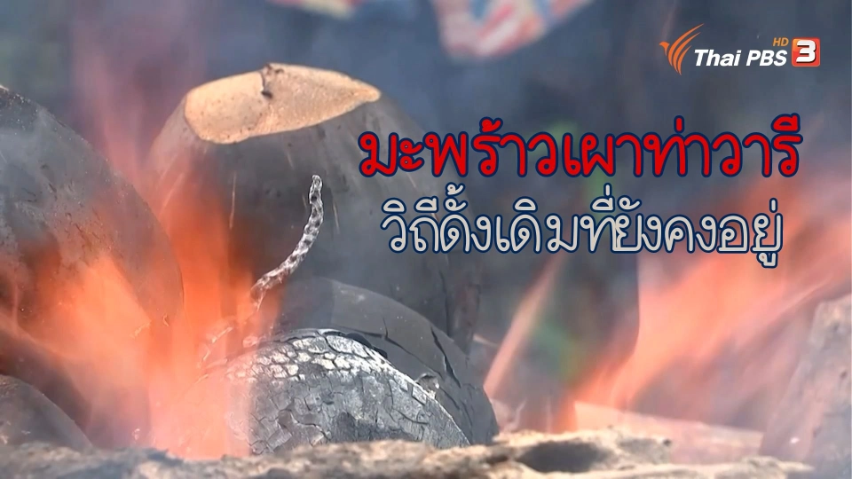 มะพร้าวเผาท่าวารี วิถีดั้งเดิมที่ยังคงอยู่