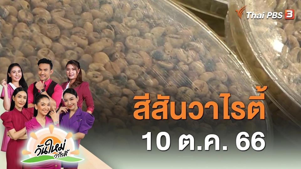 ​สีสันวาไรตี้ (10 ต.ค. 66)