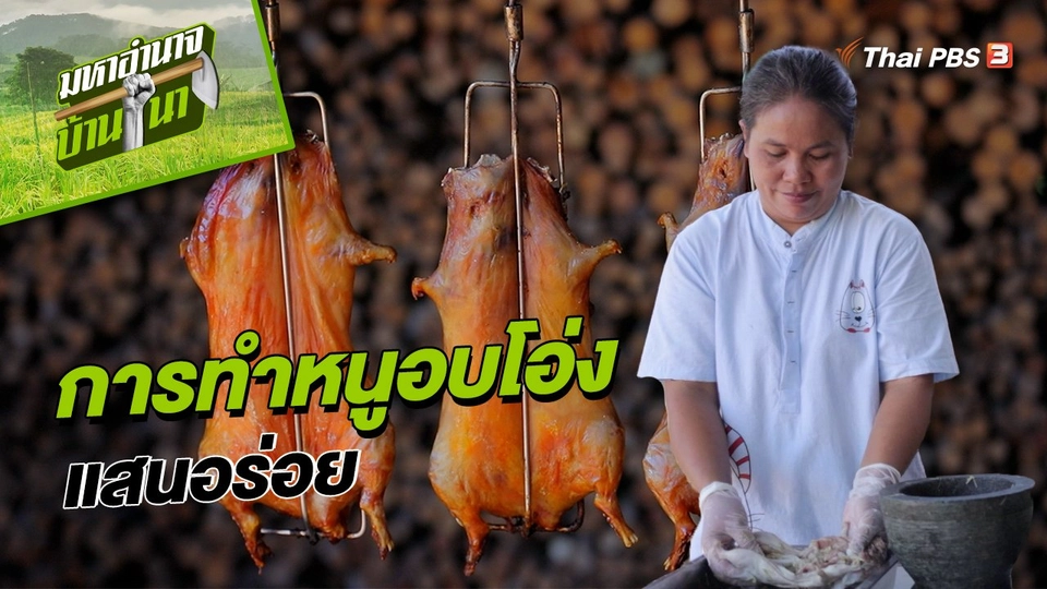 ​สูตรลับฉบับบ้านนา : การทำหนูอบโอ่งแสนอร่อย