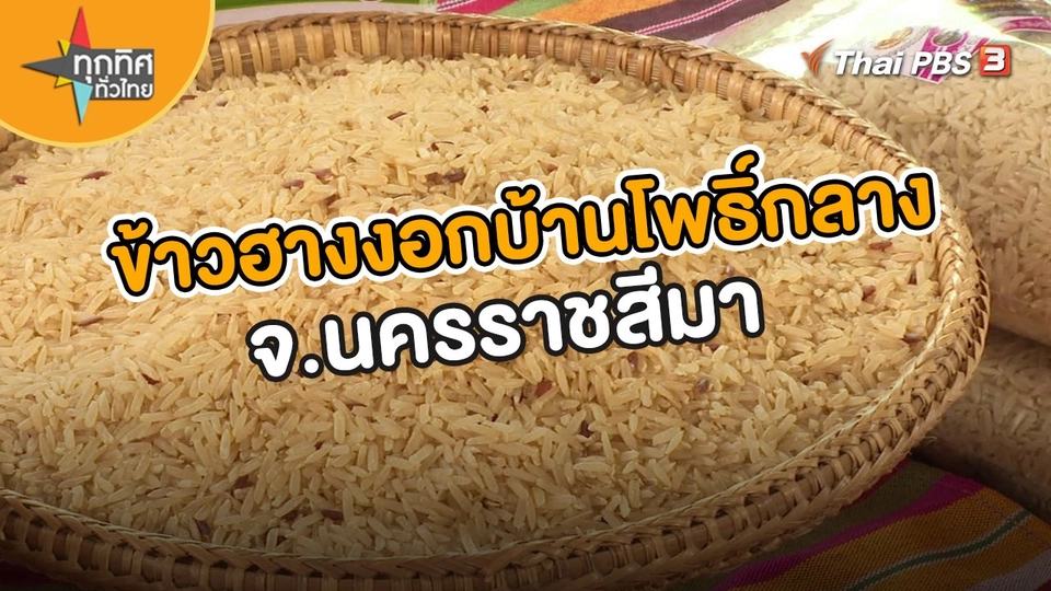 ​อาชีพทั่วไทย : ข้าวฮางงอกบ้านโพธิ์กลาง จ.นครราชสีมา