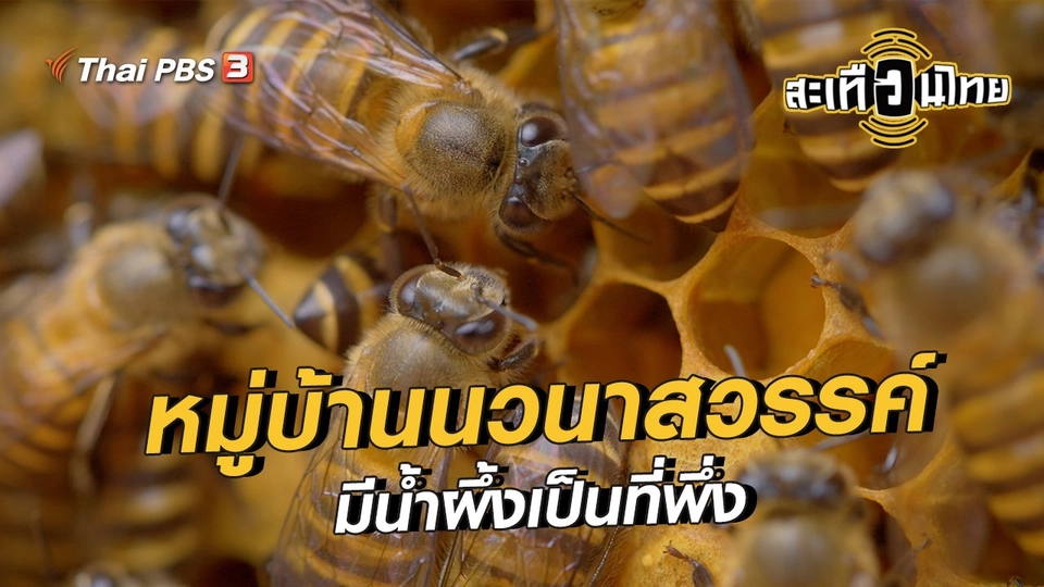 นักสร้างความเปลี่ยนแปลง : หมู่บ้านนวนาสวรรค์ มีน้ำผึ้งเป็นที่พึ่ง