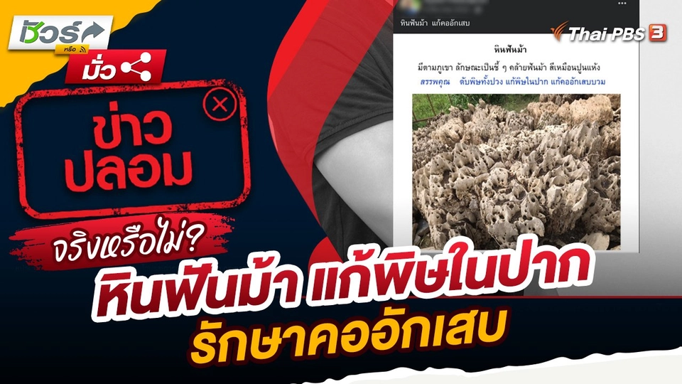 ชัวร์หรือมั่ว : หินฟันม้า แก้พิษในปาก รักษาคออักเสบ จริงหรือ ?
