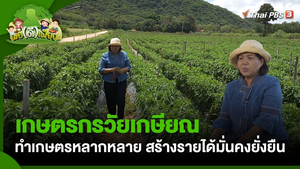 พอดีพอเพียง : เกษตรกรวัยเกษียณทำเกษตรหลากหลาย สร้างรายได้มั่นคงยั่งยืน