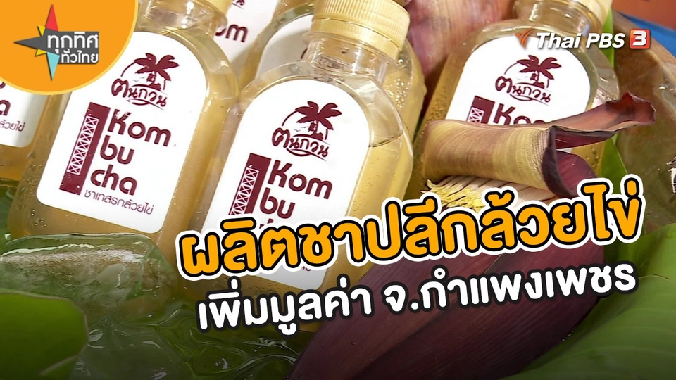 ​อาชีพทั่วไทย : ผลิตชาปลีกล้วยไข่เพิ่มมูลค่า จ.กำแพงเพชร