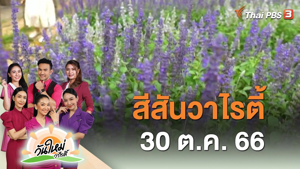 ​สีสันวาไรตี้ (30 ต.ค. 66)