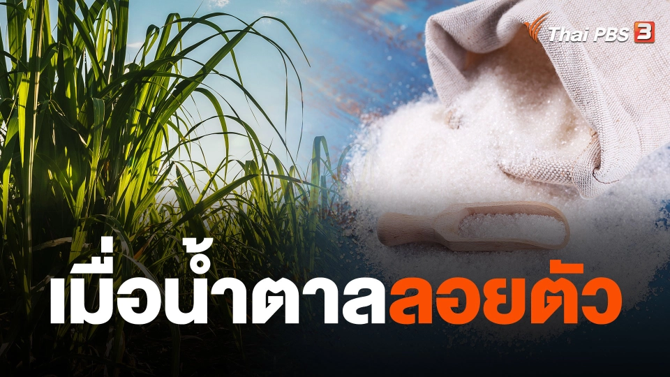 เมื่อน้ำตาลลอยตัว