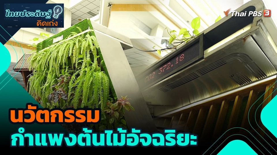 นวัตกรรมกำแพงต้นไม้อัจฉริยะ