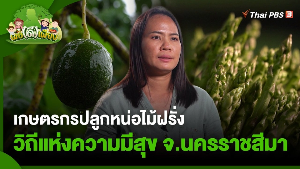 เกษตรกรปลูกหน่อไม้ฝรั่ง วิถีแห่งความมีสุข จ.นครราชสีมา