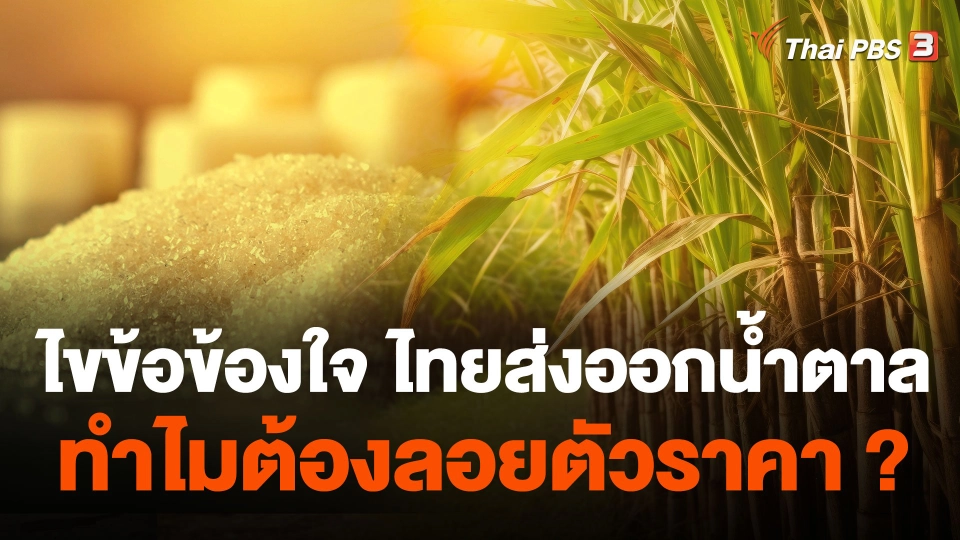 ไขข้อข้องใจ ไทยส่งออกน้ำตาล ทำไมต้องลอยตัวราคา ?