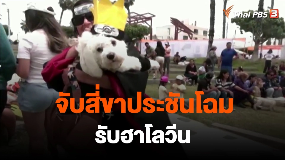 ​จับสี่ขาประชันโฉมรับฮาโลวีน