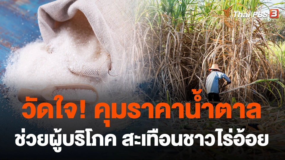 วัดใจ! คุมราคาน้ำตาลช่วยผู้บริโภค สะเทือนชาวไร่อ้อย