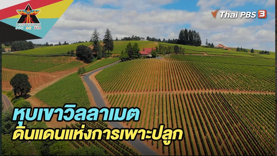 หุบเขาวิลลาเมตดินแดนแห่งการเพาะปลูก