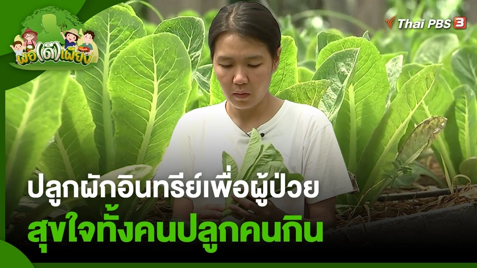 ปลูกผักอินทรีย์เพื่อผู้ป่วย สุขใจทั้งคนปลูกคนกิน