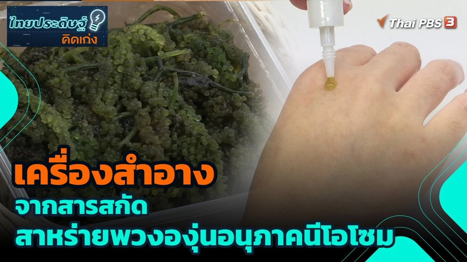 เครื่องสำอางจากสารสกัดสาหร่ายพวงองุ่นอนุภาคนีโอโซม