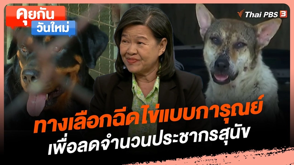 ทางเลือกฉีดไข่แบบการุณย์ เพื่อลดจำนวนประชากรสุนัข