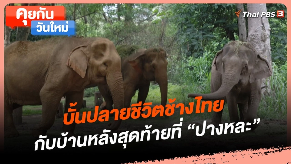 บั้นปลายชีวิตช้างไทย กับบ้านหลังสุดท้ายที่ "ปางหละ"