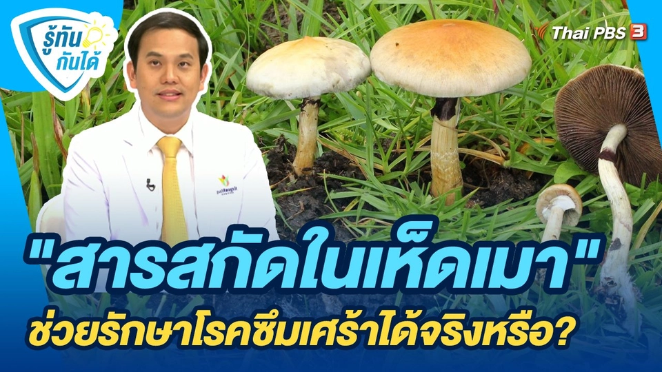 รู้ทันกันได้ : "สารสกัดในเห็ดเมา" ช่วยรักษาโรคซึมเศร้าได้จริงหรือ?