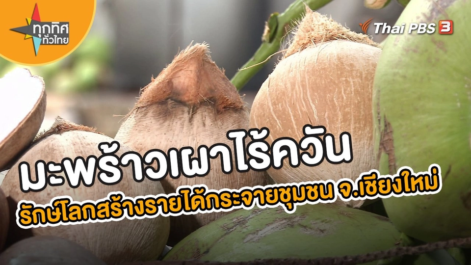 ​อาชีพทั่วไทย : มะพร้าวเผาไร้ควัน รักษ์โลกสร้างรายได้กระจายชุมชน จ.เชียงใหม่