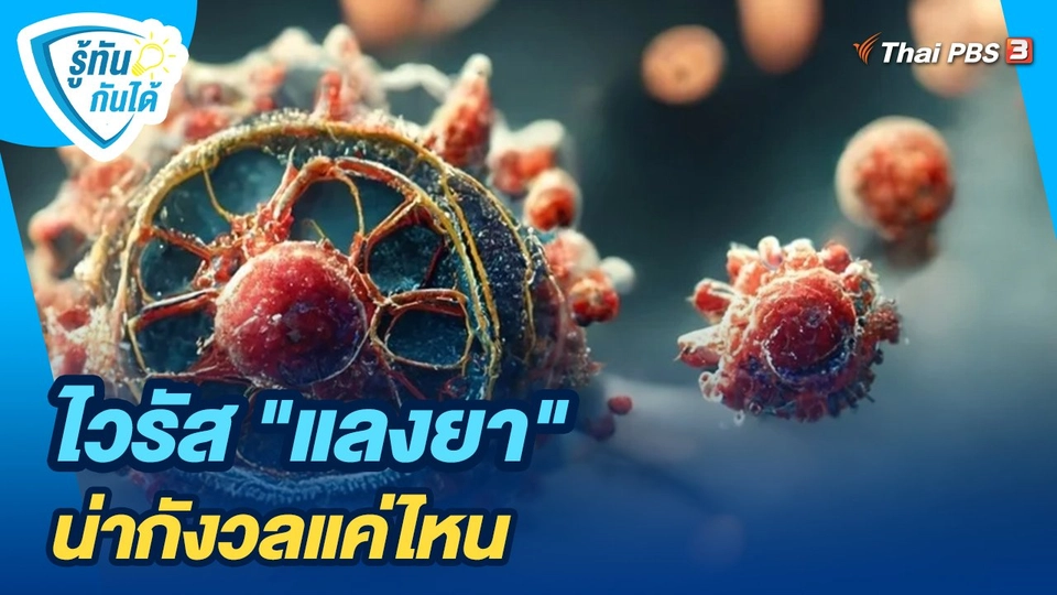 ไวรัส "แลงยา" น่ากังวลแค่ไหน