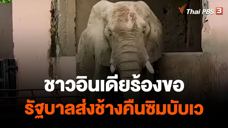 ชาวอินเดียร้องขอรัฐบาลส่งช้างคืนซิมบับเว