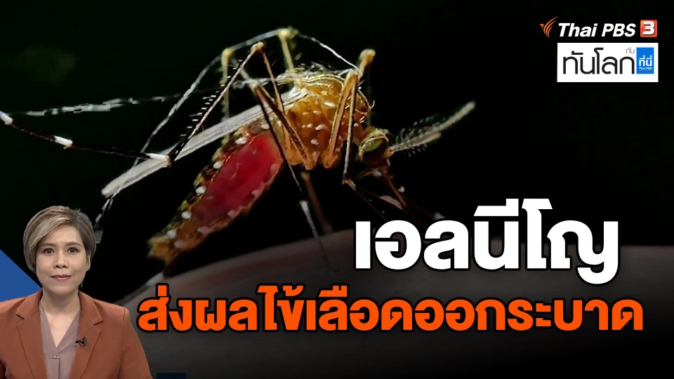 ​เอลนีโญ ส่งผลไข้เลือดออกระบาด