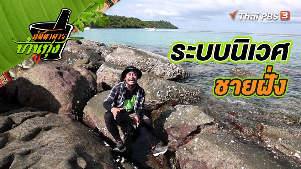 ระบบนิเวศชายฝั่ง