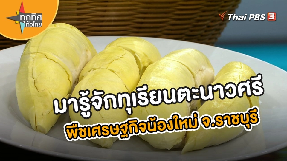 ​อาชีพทั่วไทย : มารู้จักทุเรียนตะนาวศรี พืชเศรษฐกิจน้องใหม่ จ.ราชบุรี