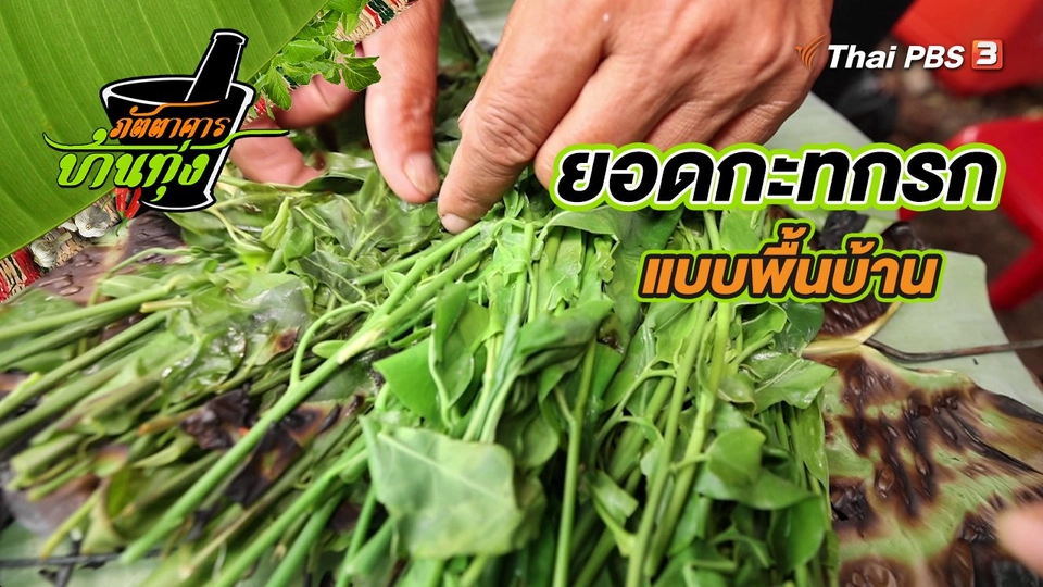 ยอดกะทกรก