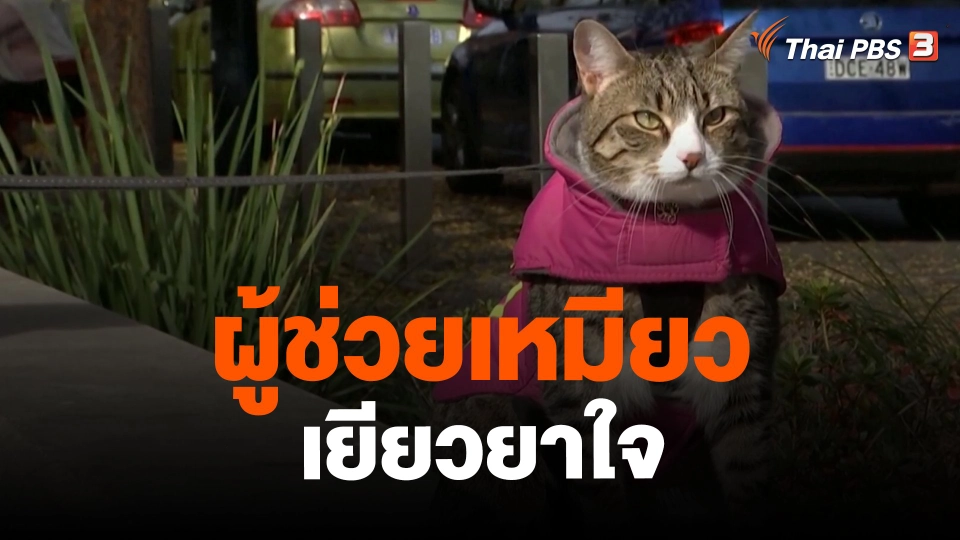 ​ผู้ช่วยเหมียวเยียวยาใจ