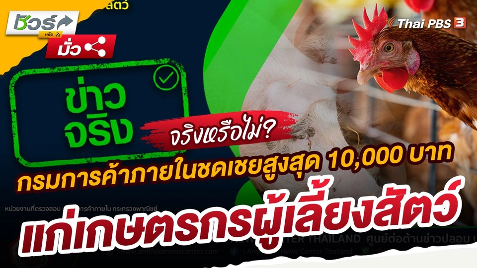 ​ชัวร์หรือมั่ว : กรมการค้าภายในชดเชยสูงสุด 10,000 บาทแก่เกษตรกรผู้เลี้ยงสัตว์