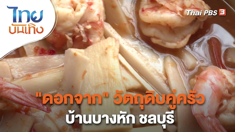 ​อิ่มมนต์รส : "ดอกจาก" วัตถุดิบคู่ครัวบ้านบางหัก ชลบุรี