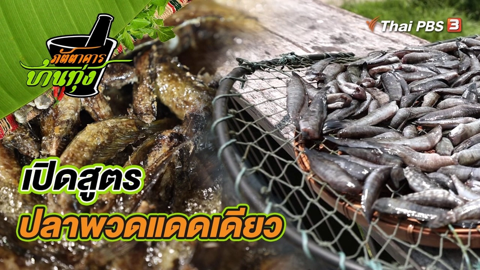 เปิดสูตรปลาพวดแดดเดียว