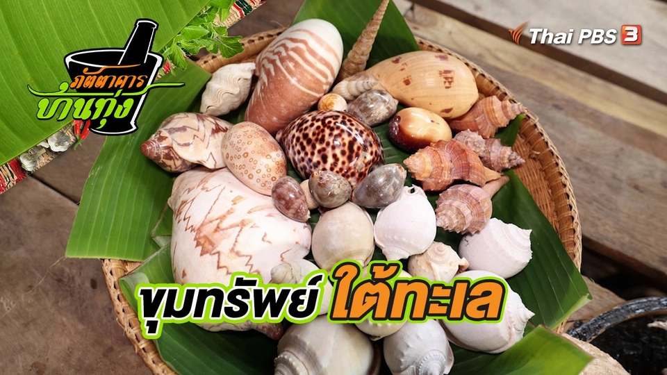 คลิปบ้านทุ่ง : ขุมทรัพย์ใต้ทะเล